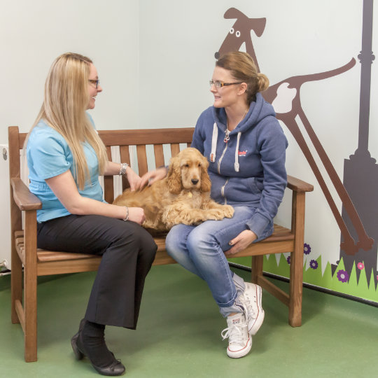 Vet with client on park bench